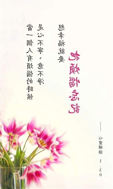 心不寧
