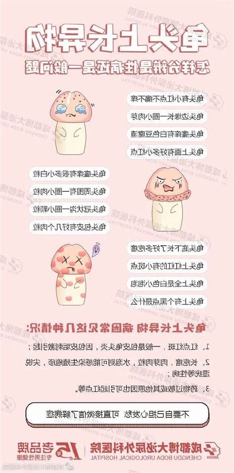 龜頭是什麼