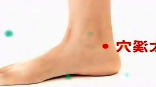 人體寫真經穴辭典