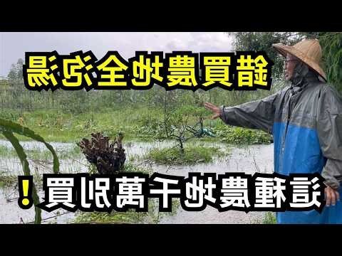 排水溝查詢