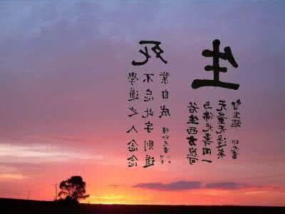 曲煒