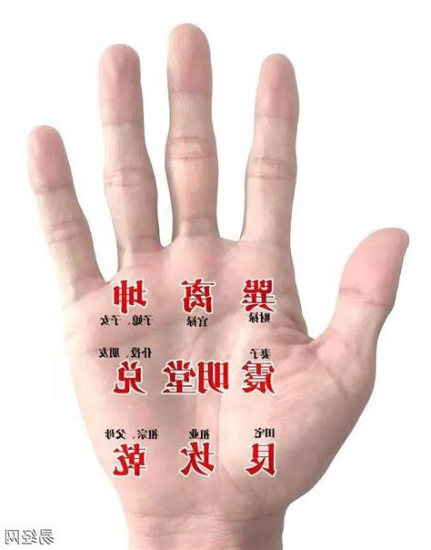 手指手相