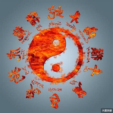 生肖對衝