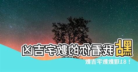 數字吉