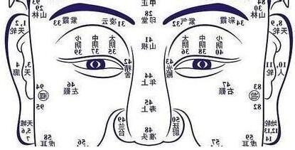 偏財鼻