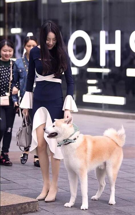 林的好聽名字