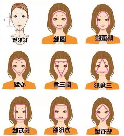 臉短面相