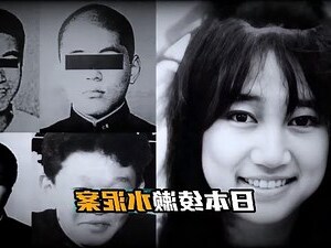 綾瀨水泥案