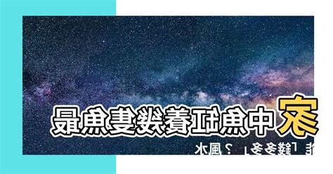 魚缸可以養幾隻魚