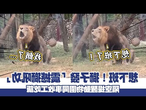 獅象捍門