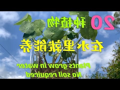 水土木