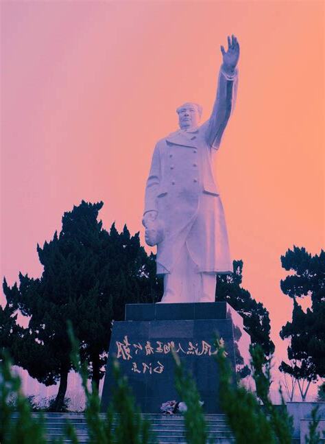 毛