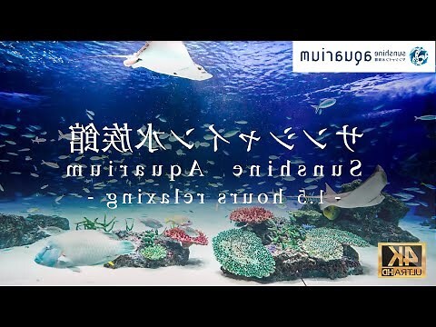 曲星水族