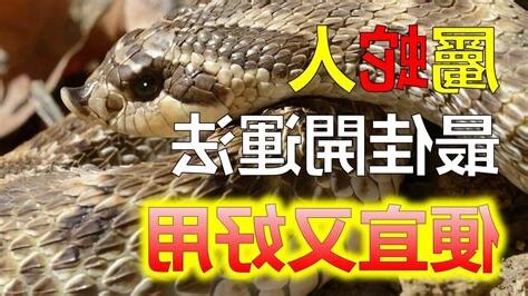 屬蛇適合方位