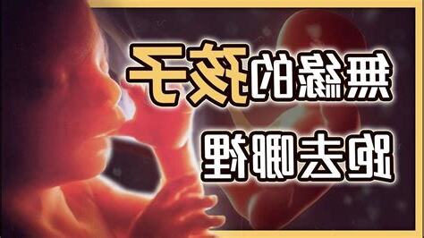 墮胎意思