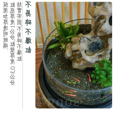 魚缸水流風水