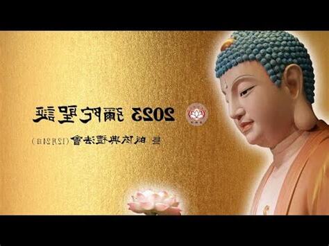皈依2023