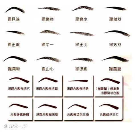眉形圖