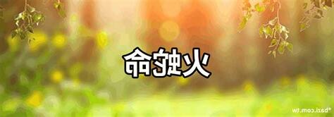 火蛇五行