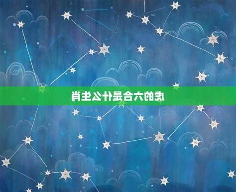 老虎的六合生肖