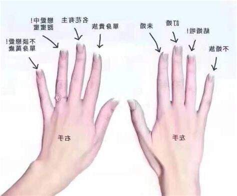 左手食指