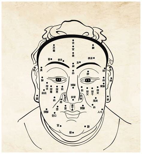 男眉型面相