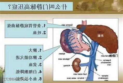 脾臟功能不好