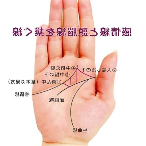 感情線