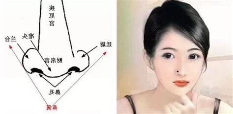 鼻翼長痣