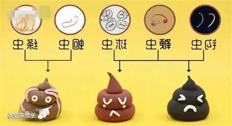 狗狗大便有白色的蟲