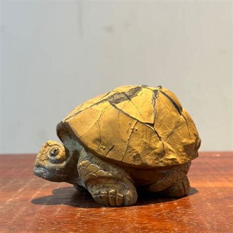 龜寓意