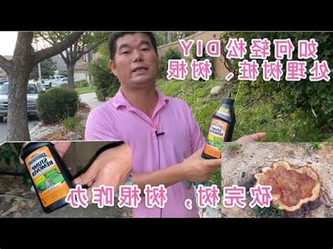 如何讓樹根爛掉