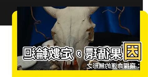 因果循環有定數