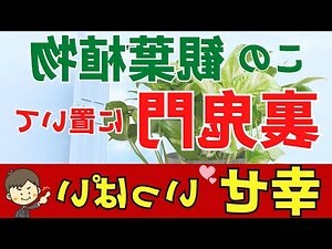 風水鬼門