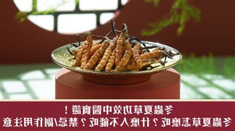 什麼人不能吃冬蟲夏草