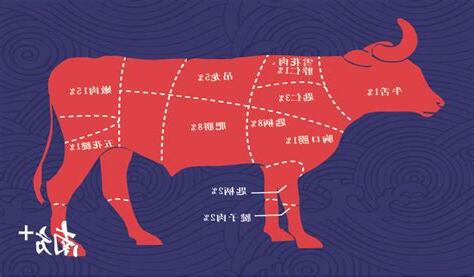 牛肉位置