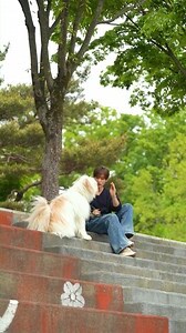 驅鬼犬