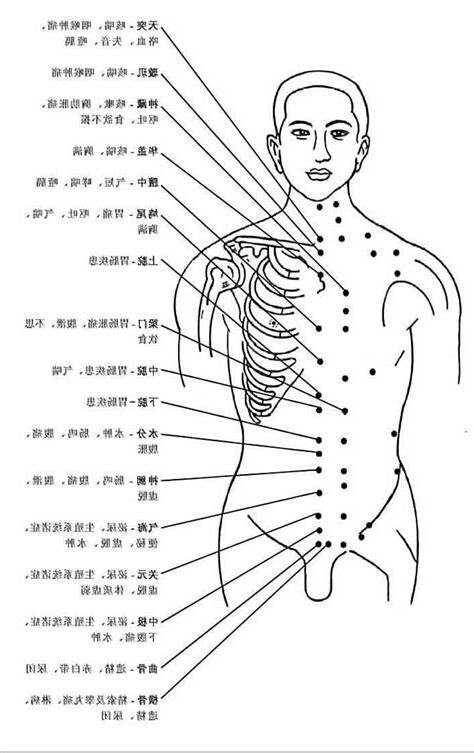 人體有多少穴位