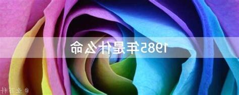 1985年是什么命