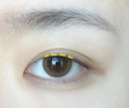 瑞鳳眼眼型