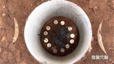 種生機