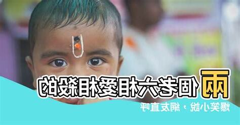 兩個老六小説