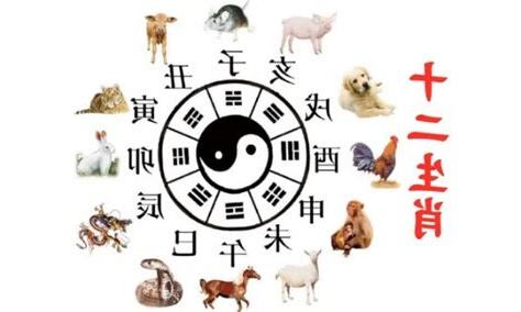 12生肖地支
