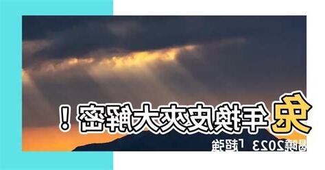 2023換皮夾