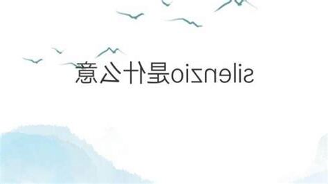 沉默的意思