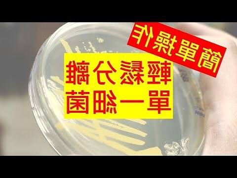 三區劃線法
