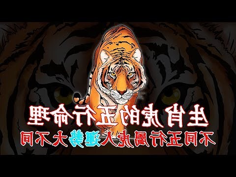 屬虎五行