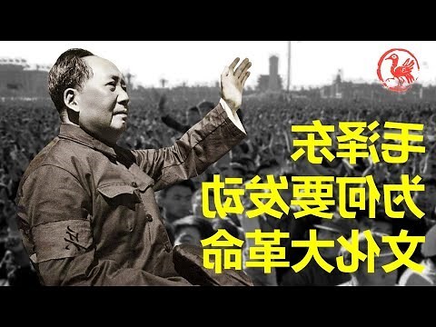 1966年是什么年