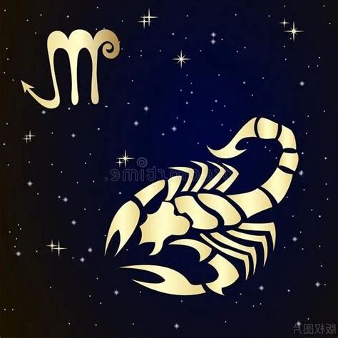 天蠍摩羯