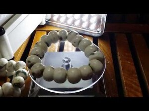 硨磲價格
